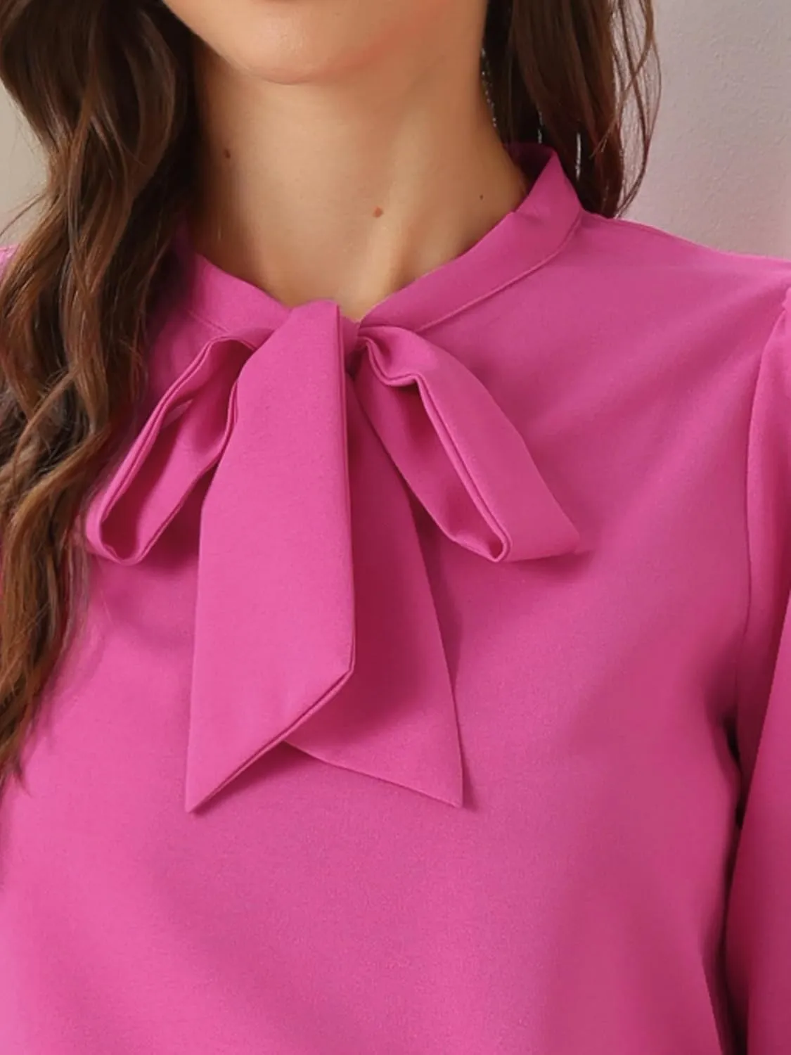 Allegra K Women's Bow Tie Neck Elegant Top Long Sleeve Solid Work Office Blouse