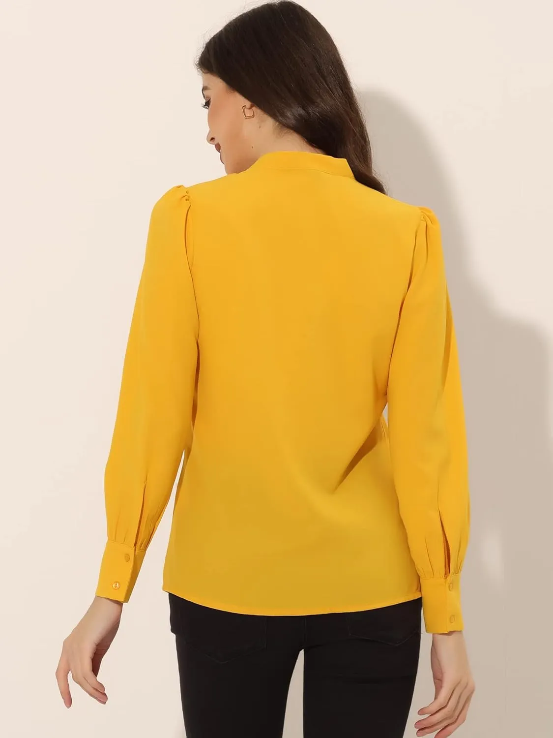 Allegra K Women's Bow Tie Neck Elegant Top Long Sleeve Solid Work Office Blouse